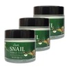 Eckel Ekel Dermatology Day Quick Drying Moisture Multi Summer Cream Snail Ampoule Elasticity Cream 70ml 3pcs / 이켈 피부과 데이 속건조 모이스처 멀티 여름 크림 달팽이 앰플 탄력 크림 70ml 3개