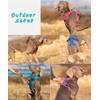 WINHYEPET True Love No Pull Dog Harness Extra Reflective Pet