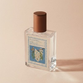 Atelier Pays Acacia Bliss 30ml / 아뜰리에페이 acacia bliss 30ml