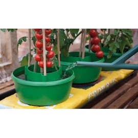 Tierra Garden GP167G Green Plant Halos (Pack of 3),Small