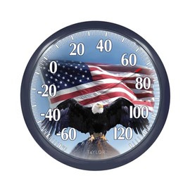 Taylor Bald Eagle Indoor Outdoor Dial Thermometer, Easy to Read Wall Decor for Patio, Pool, Yard, Garden or Garage, 12x14-inch, Charcoal Bezel