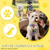 2Pcs Harness Set for Dogs, Mesh Pet Vest Set with
