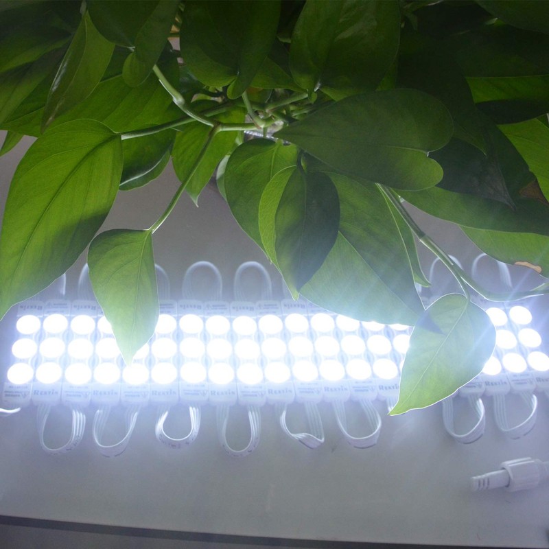 Rextin Super Bright 110V 100pcs New Model 2835 3 LED