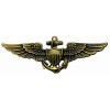 USN US Navy Aviation Wing Badge Naval Aviator Pilot Pins