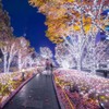 300 LED Curtain Lights for Decorations USB String Lights 3