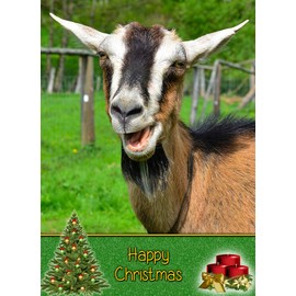 Goat Christmas Card 'Happy Christmas' - Special Xmas Card for Him Her Kids Male Female