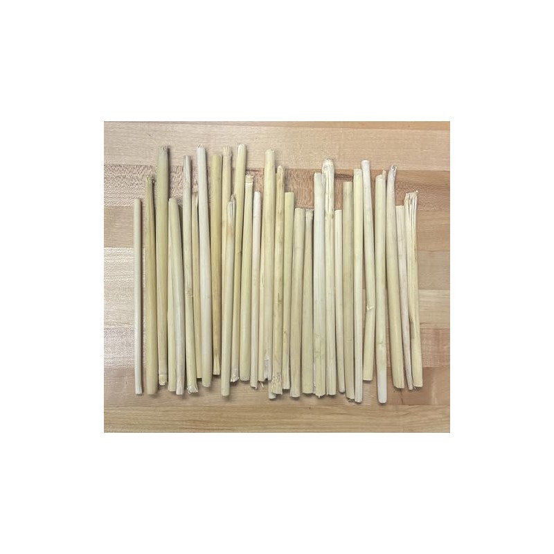Broomcorn Stalks