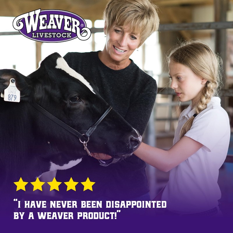 Weaver Livestock Copper-Plated Small Cow Bell, Robust Herd Tracking Loud