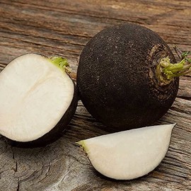 HeirloomSupplySuccess 50 Heirloom Round Black Spanish Radish Seeds