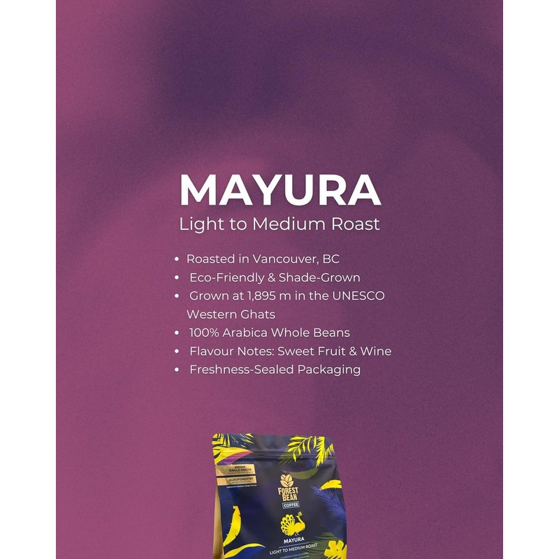 Forest Bean Mayura Coffee, 100% Arabica, Single-Origin Indian, LIGHT TO