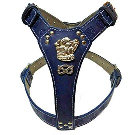 M&D Beautiful Navy Blue Leather Dog Harness Large with Gold Staffordshire Bullterrier Head Motif & Knot and Printed Straps