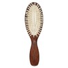 Christophe Robin Travel hairbrush