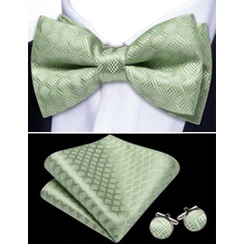 Barry.Wang - Pajaritas de moño para hombre, color sólido, con diseño de esmoquin y gemelos de pañuelo, para bodas, fiestas, Plaid Sage Green, Talla única