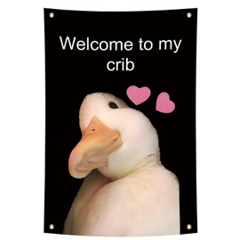 Flag for Room 2x3 Feet Welcome to My Crib Flag Man Cave Wall Funny Flags with 4 Brass Grommets Hanging Banner for Bedroom College Dorm Room Outdoor/Indoor Decoration