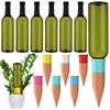 SiliFine 12 Pack Plant Watering Devices Include 6 Terracotta Self