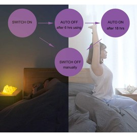 GREENIC Portable Conch Shell Beach Themed Night Light w Timer for Kids Adults Bedroom Nightstand Lamp Nautical Lighting Battery Operated, Warm White