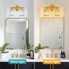 FDPBY Modern 2 Light Crystal Vanity Light, Brushed Gold Vertical