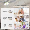 Ceiling Fans with Lights, 33 Inch Low Profile Ceiling Fan