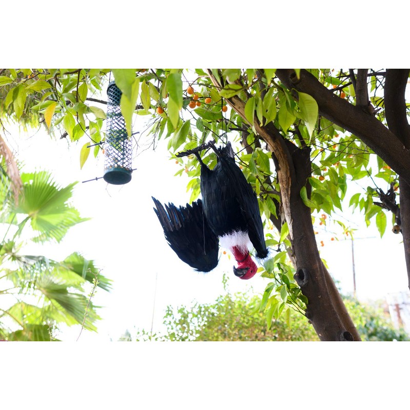BirdBusters Dead Vulture Effigy 18 inch Tall, Deters Turkey &