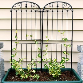 Sunnydaze 32-Inch Traditional Garden Trellis, Metal Wire for Climbing Plants and Flowers, Set of 2