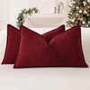 Sungeek Set of 2 Soft Chenille Cushion Covers 30x50cm Lumbar