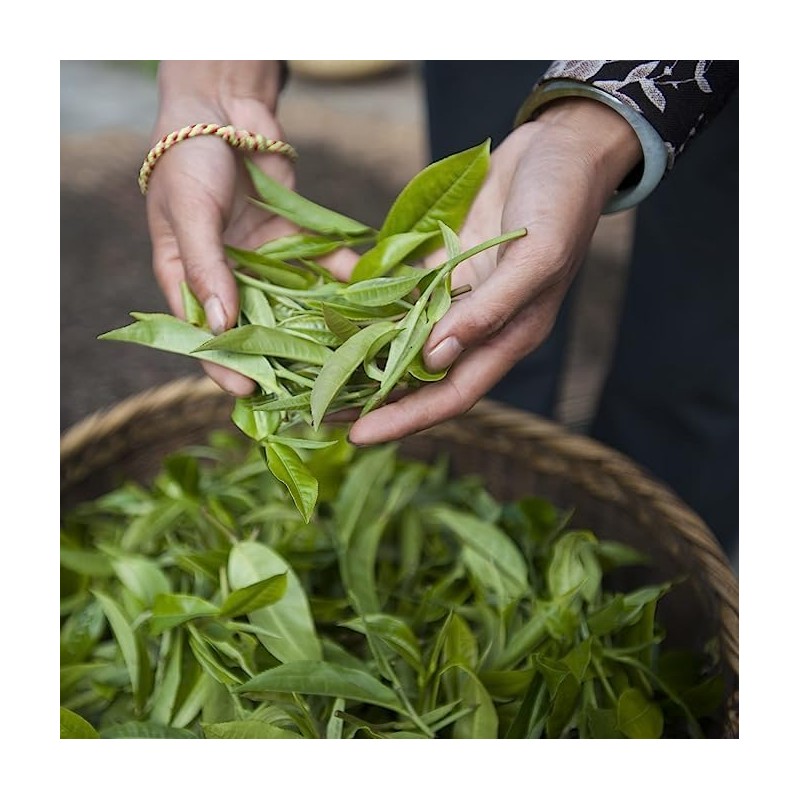 Palais des Thés - Tropical Garden Iced Tea - Premium