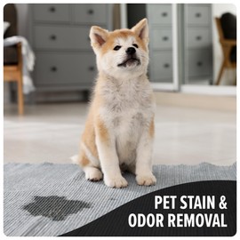 Dirt Devil Pet Carpet Cleaner Solution, 64 oz., Tropical Breeze Scent, Carpet Shampoo Solution, Eliminates Pet Stains and Odors, Pair with Dirt Devil Full Size Carpet Cleaner Machines