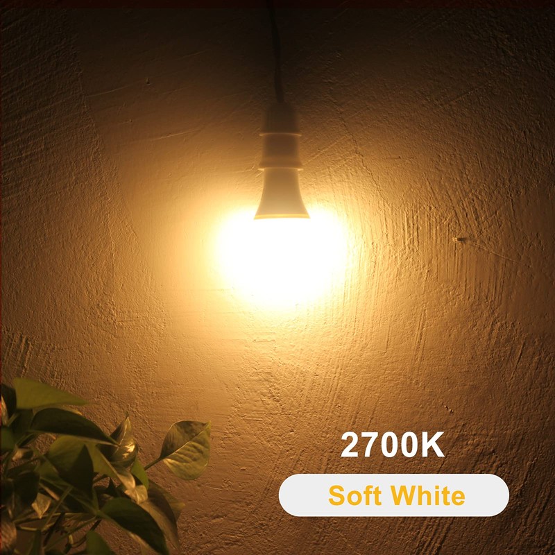 Qualilux Dusk to Dawn Light Bulbs 850LM, 60W Equivalent, Soft