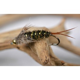 Region Fishing Tungsten Bead Head 20 Incher Stonefly Nymph Flies on Mustad Signature Hooks (Hook #10)