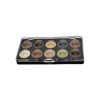 Revlon Illuminance Creme Shadow 10-Shade Pallete- Warm & Toasty 02
