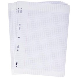 Clairefontaine 14711C – Pack of 150 Sheets Exam Sheets (Double Sheets) DIN A4 21 x 29.7 cm, 90 g Perforated, French Ruling, Shrink-Wrapped, Universal Punching, White, 1 Pack