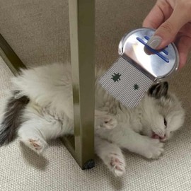 Stainless Steel Nit Comb (Random Selection) for Lice Removal Stainless Steel Fine-Toothed Comb 2ea