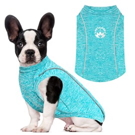 PETCARE Dog Shirt Sun Protection Quick Dry Reflective Soft Stretchy Dog T-Shirts Sleeveless Vest Dogs Clothes for Small Medium Dogs Cats Puppy Chihuahua Yorkie Dachshund French Bulldog Pet Outfit