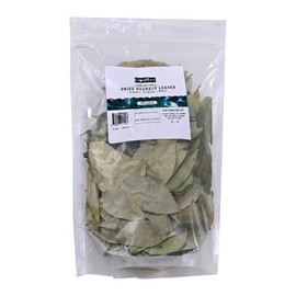 100pcs Organic Soursop Leaves – Whole Dried Soursop Leaves – Natural Wellness, Tropical Calm, Naturally Dried, No Pesticides - 100pcs