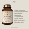Sky Premium Life Vitamin B Complex with Vitamins B1, B2,