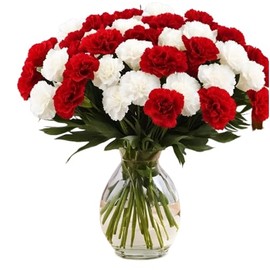 KaBloom Flowers - 12 Red And White Carnation With Vase. Gift for Birthday, Anniversary, Get Well, Thank You, Valentine, Mother’s Day Fresh Flowers