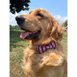 Lionheart glory American Flag Dog Collar, 4 of July Dog Bow Collar Heavy Duty Adjustable Patriotic Dog Collar with Bowtie for Small Dogs Pet Gift