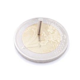 Aprilheld 40 Disc Magnets 2 x 1 mm N52 Strongest Class Neodymium Magnets Extra Strong Power Magnet for Notice Board, Whiteboard, Photo, Fridge Mini Magnetic Disc