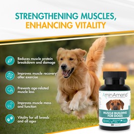 AminAmend Muscle Support Dog Supplements for Large Breed (21lbs+) with CaHMB & Vitamin D3 – Supports Strength, Mobility & Daily Activity for All Ages & Senior Dog – (30 Capsules)