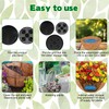 10 Set Invisble Hanging Basket Self Watering Insert, 9.4” Hanging