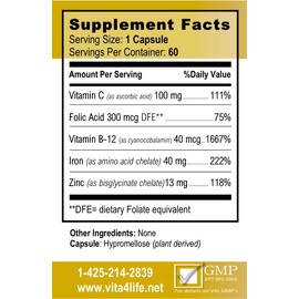 Vita4Life!® Iron Support Plus - 40mg Iron with Vitamin C, B-12, Folic Acid & Zinc - 60 Capsules - Non-Constipating Formula for Red Blood Cell Support & Energy - Vegetarian & GMO-Free