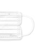 Iris Ohyama Mask Non-woven Pleated Mask, 120 Pieces, Regular Size,