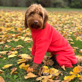 Warm Dog Fleece – Available in Five Sizes & Five Colours (Coral, X-Small (Four Legged))
