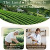 Johou Peppermint Herbal Tea Pods, Specially Ground Pure herb, Full-Flavor,