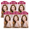 ryo Ryeo Uachae Stylish Gray Hair Cream, 70 Orange Brown, 6 pieces / 려 우아채 멋내기새치크림, 7O 오렌지브라운, 6개