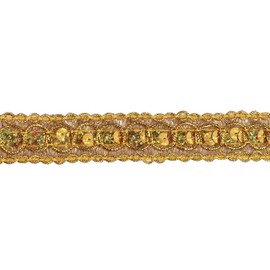 YYCRAFT 20 Yards Trish Sequin Metallic Braid Trim 7/8 Inch-Gold