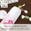 Pochi Pouch, Cherry Blossom Style (Oka)