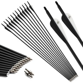 S F 28 inch Carbon Arrow Practice Hunting Arrows Spine 500 for Compound & Recurve Bow(Pack of 12)