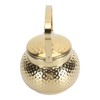 Stovetop Tea Kettle Stainless Steel Stove Teapot with Infuser for