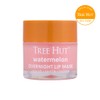 Tree Hut Overnight Lip Mask Watermelon 17g / 트리헛 오버나이트